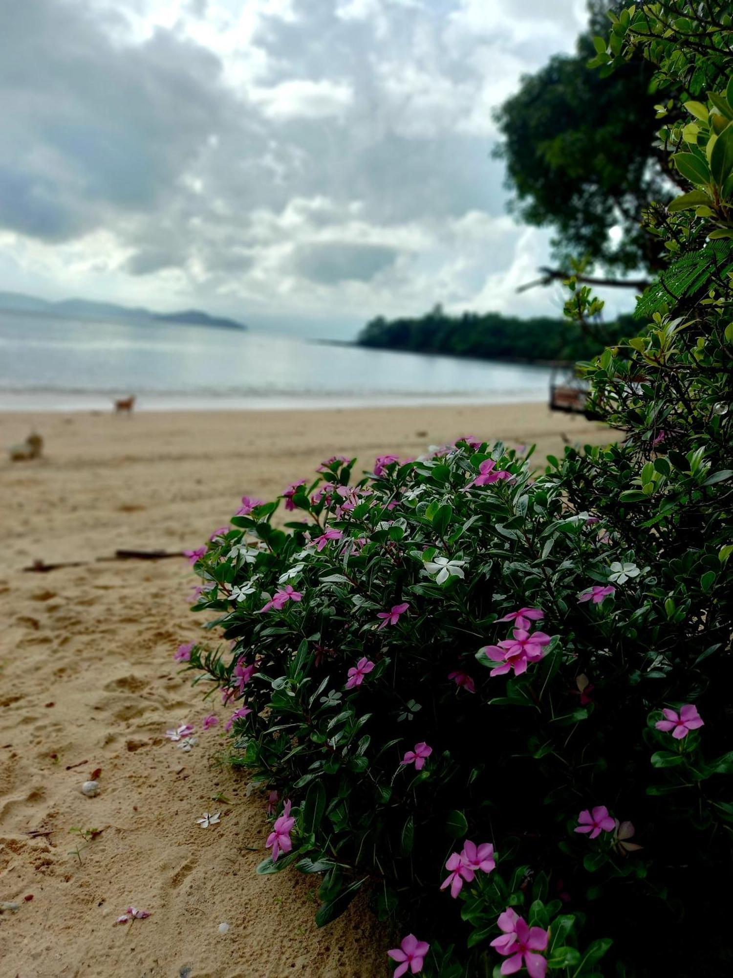 Sabai Sabai Beach Bungalows Koh Phayam Oda fotoğraf